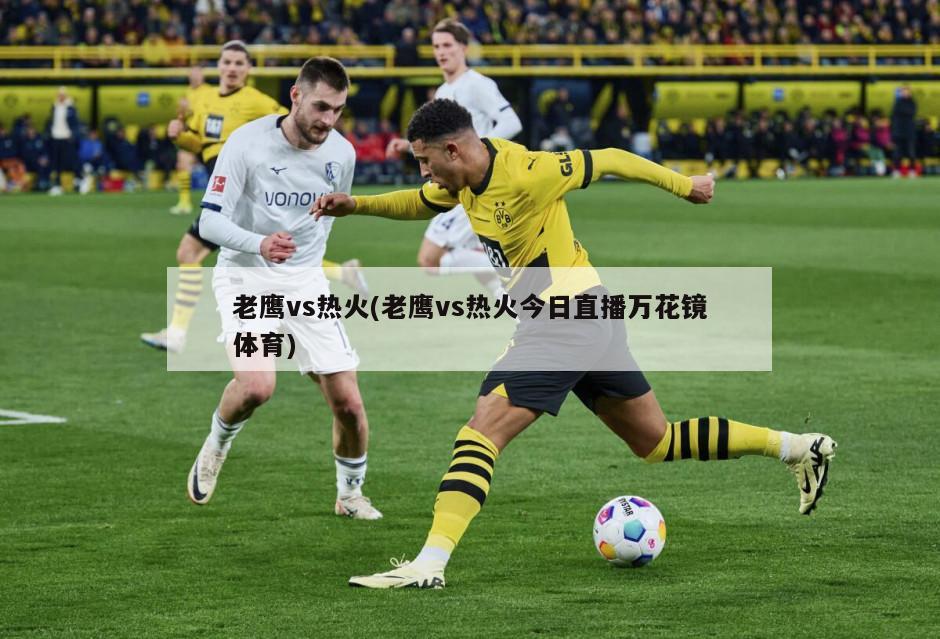 老鹰vs热火(老鹰vs热火今日直播万花镜体育)