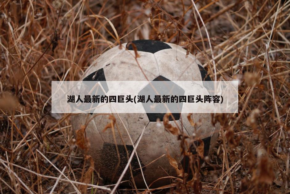 湖人最新的四巨头(湖人最新的四巨头阵容)