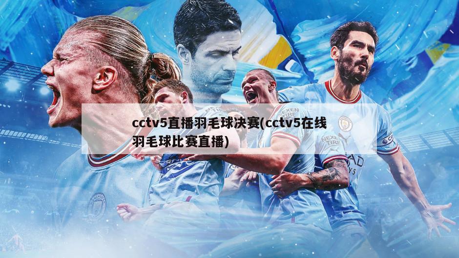cctv5直播羽毛球决赛(cctv5在线羽毛球比赛直播)