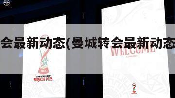 曼城转会最新动态(曼城转会最新动态维尔茨)