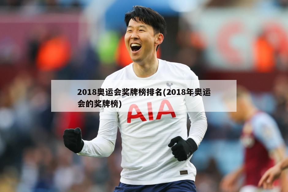 2018奥运会奖牌榜排名(2018年奥运会的奖牌榜)