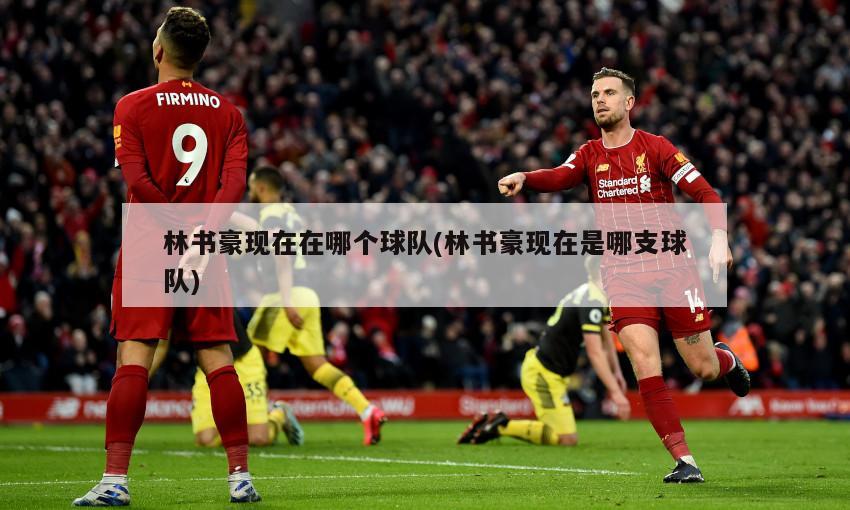 林书豪现在在哪个球队(林书豪现在是哪支球队)