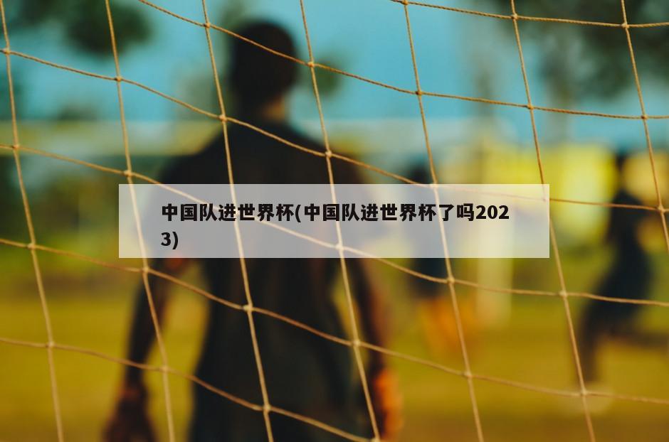 中国队进世界杯(中国队进世界杯了吗2023)