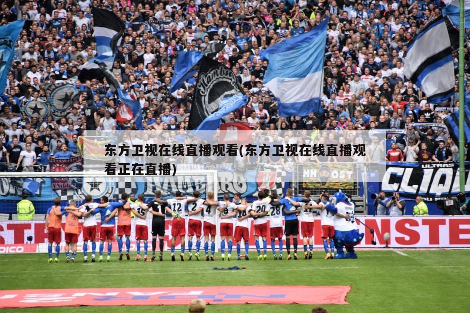 东方卫视在线直播观看(东方卫视在线直播观看正在直播)
