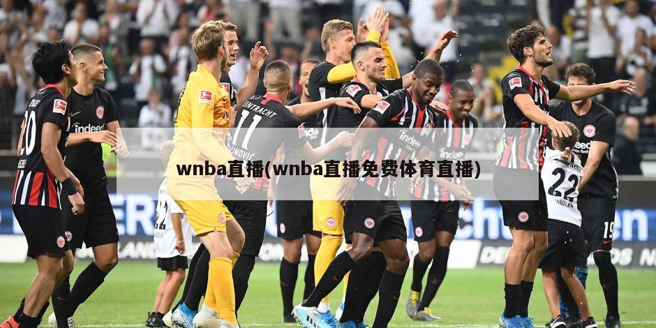 wnba直播(wnba直播免费体育直播)