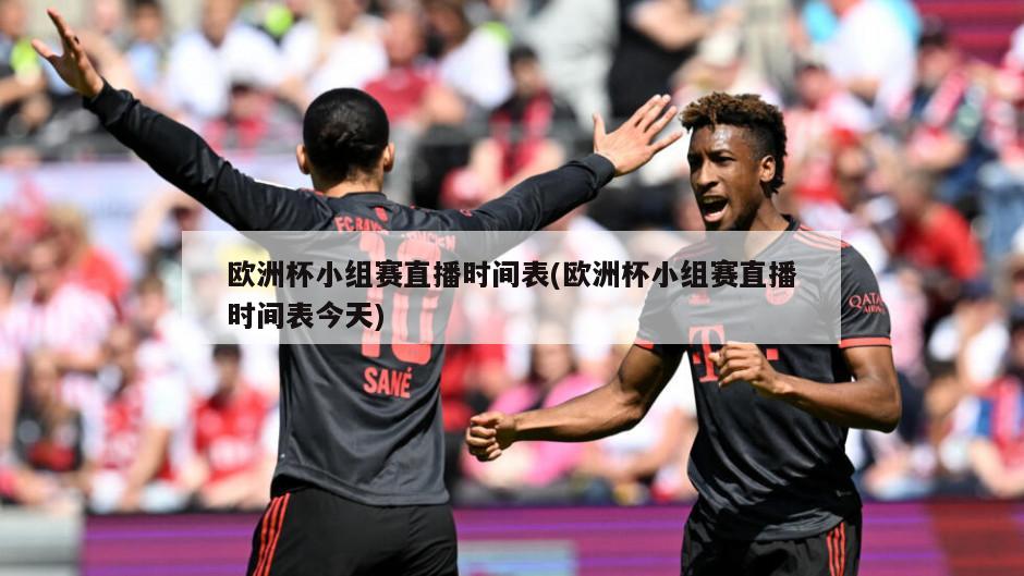 欧洲杯小组赛直播时间表(欧洲杯小组赛直播时间表今天)