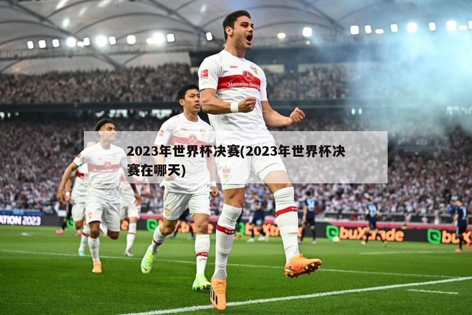 2023年世界杯决赛(2023年世界杯决赛在哪天)