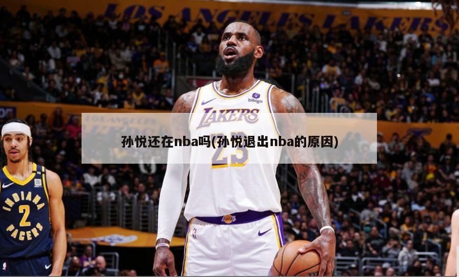 孙悦还在nba吗(孙悦退出nba的原因)