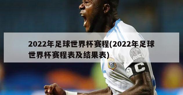 2022年足球世界杯赛程(2022年足球世界杯赛程表及结果表)