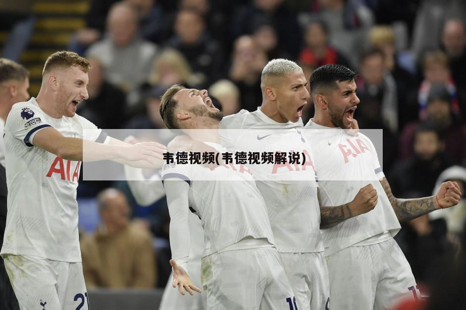 韦德视频(韦德视频解说)