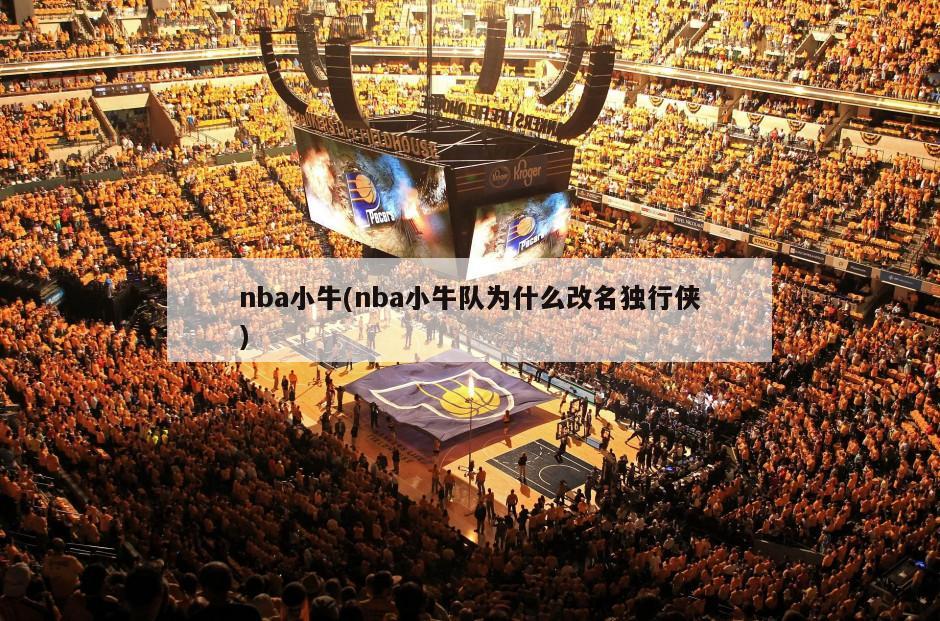 nba小牛(nba小牛队为什么改名独行侠)