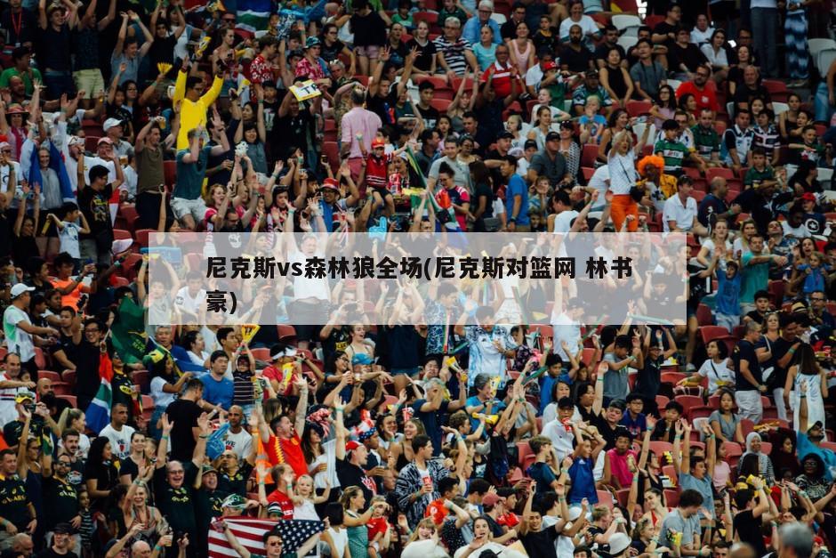 尼克斯vs森林狼全场(尼克斯对篮网 林书豪)