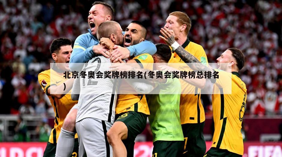 北京冬奥会奖牌榜排名(冬奥会奖牌榜总排名)