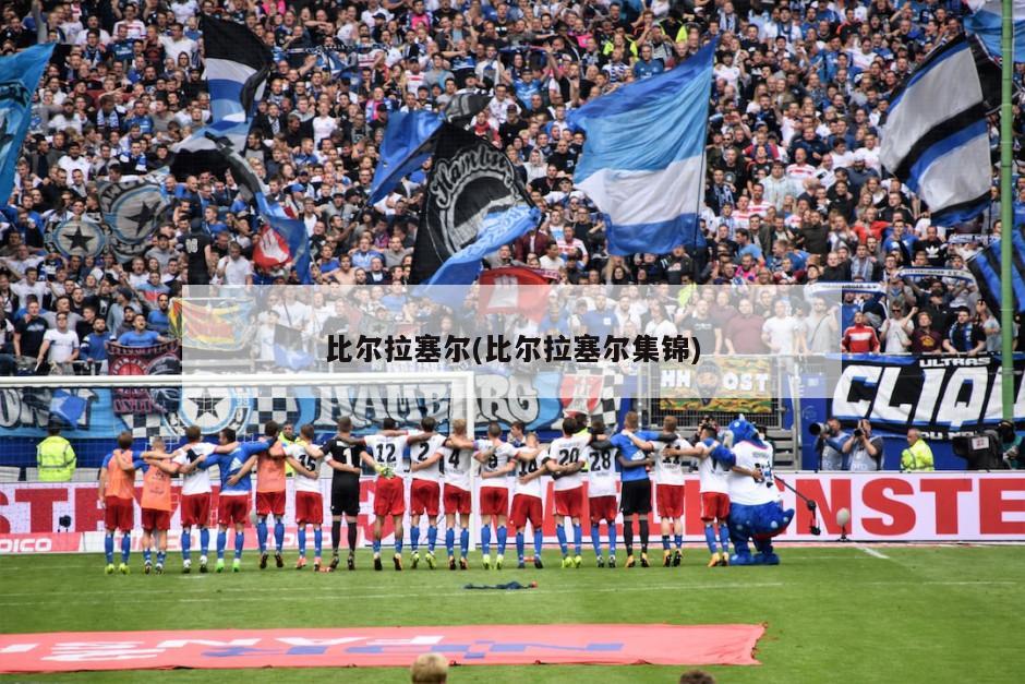 比尔拉塞尔(比尔拉塞尔集锦)