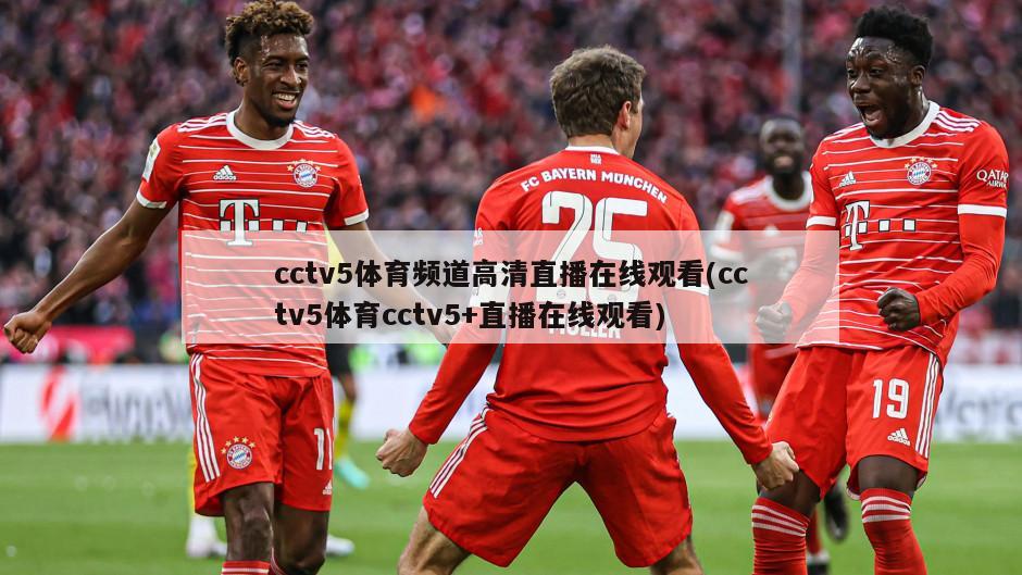 cctv5体育频道高清直播在线观看(cctv5体育cctv5+直播在线观看)