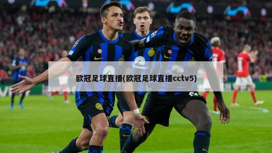 欧冠足球直播(欧冠足球直播cctv5)