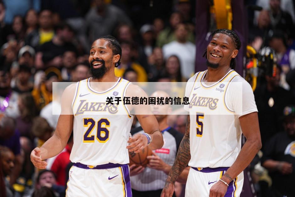 关于伍德的困扰的信息