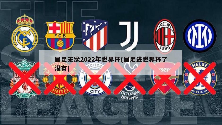 国足无缘2022年世界杯(国足进世界杯了没有)