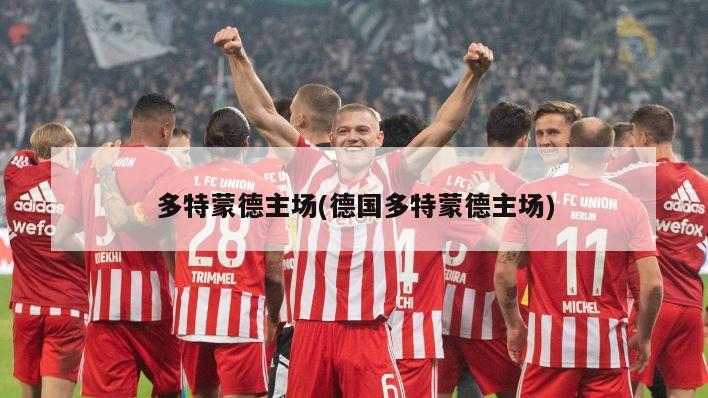 多特蒙德主场(德国多特蒙德主场)