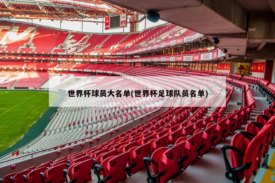 世界杯球员大名单(世界杯足球队员名单)