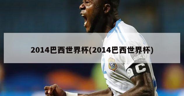 2014巴西世界杯(2014巴西世界杯)