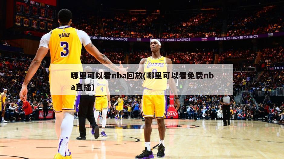哪里可以看nba回放(哪里可以看免费nba直播)
