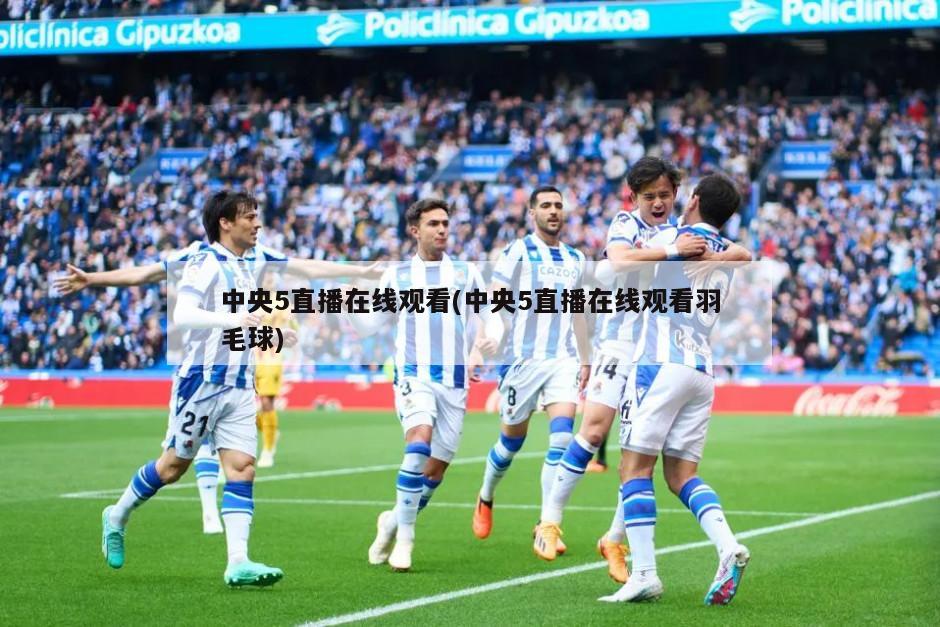 中央5直播在线观看(中央5直播在线观看羽毛球)